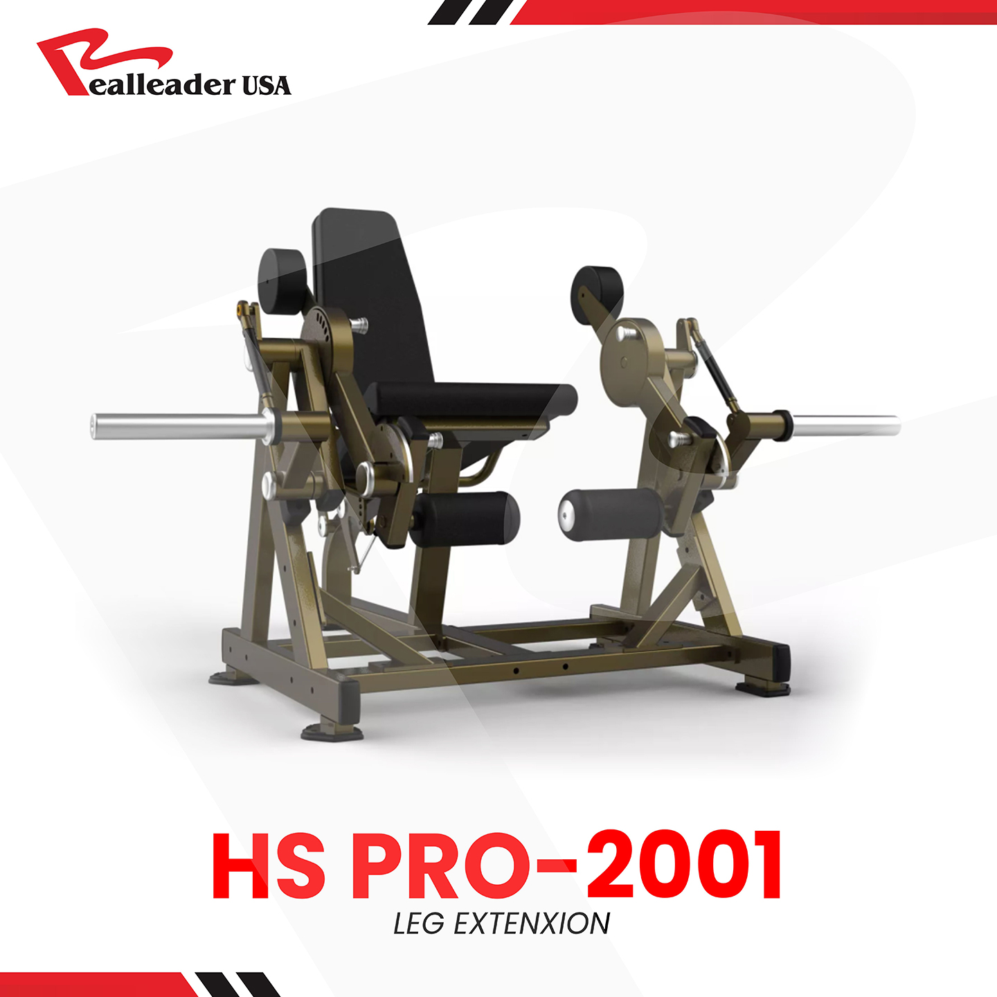 HS-PRO-2001.jpg